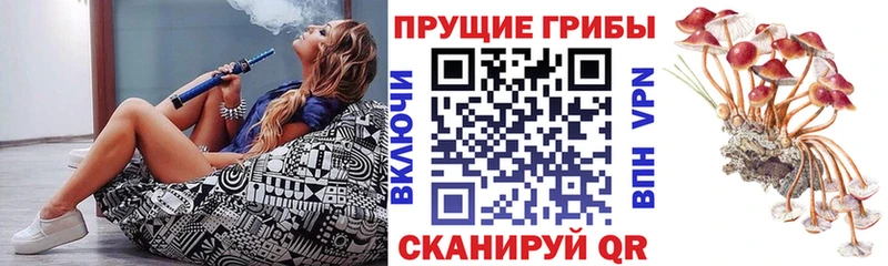 Псилоцибиновые грибы мицелий  Купить закладки  Боровск 